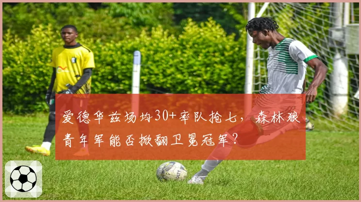 爱德华兹场均30+率队抢七，森林狼青年军能否掀翻卫冕冠军？