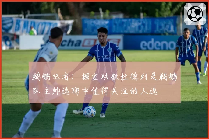 鹈鹕记者：掘金助教杜德利是鹈鹕队主帅选聘中值得关注的人选