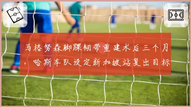 马格努森脚踝韧带重建术后三个月，哈斯车队设定新加坡站复出目标