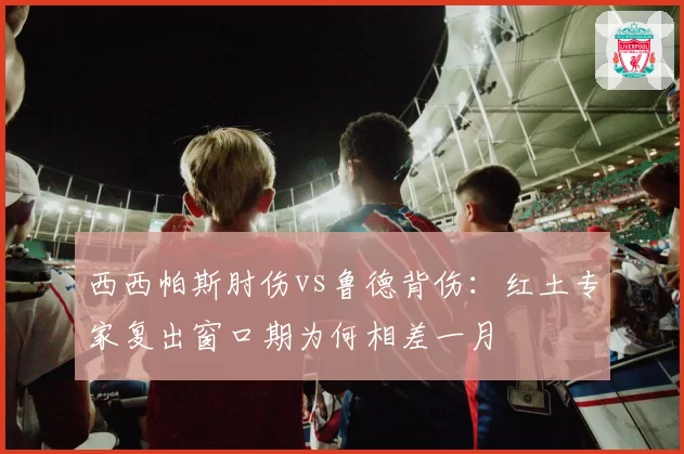 西西帕斯肘伤vs鲁德背伤：红土专家复出窗口期为何相差一月