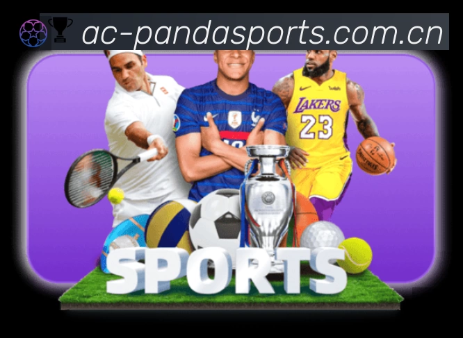 熊猫体育站内搜索增强